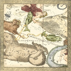 Zodiac Chart III