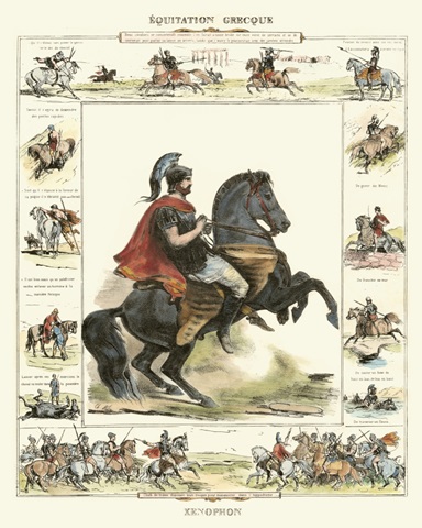 Equestrian Display I