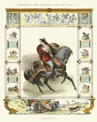 Equestrian Display II