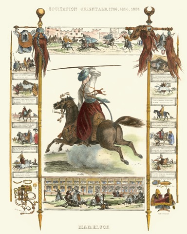 Equestrian Display IV