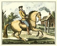 Equestrian Training I