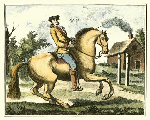 Equestrian Training I