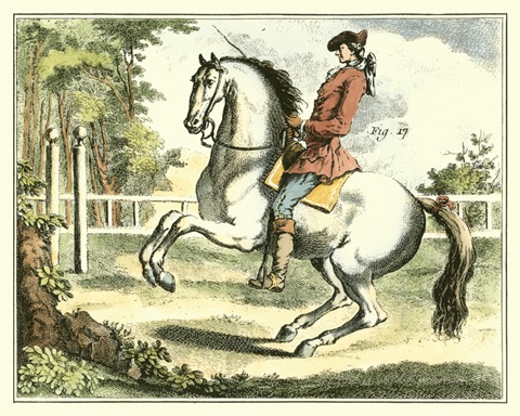 Equestrian Training II