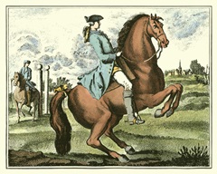 Equestrian Training III