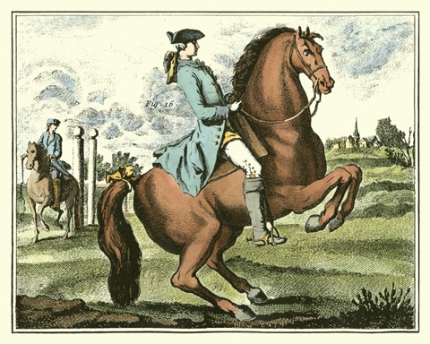 Equestrian Training III