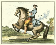 Equestrian Training IV
