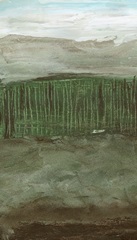 Forest for the Trees I