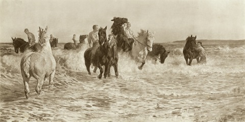 Horses Bathing
