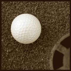 Sepia Golf Ball Study I