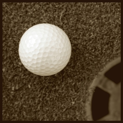 Sepia Golf Ball Study I