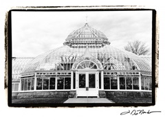 Conservatory III