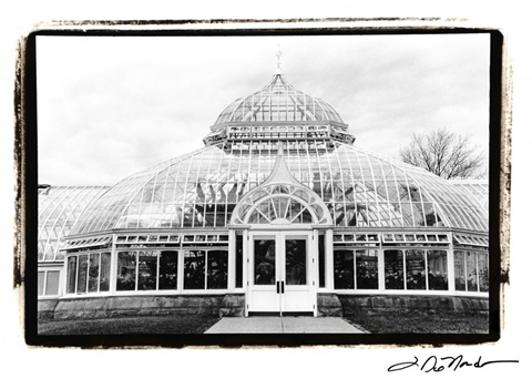 Conservatory III