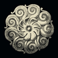 Black and Tan Rosette I