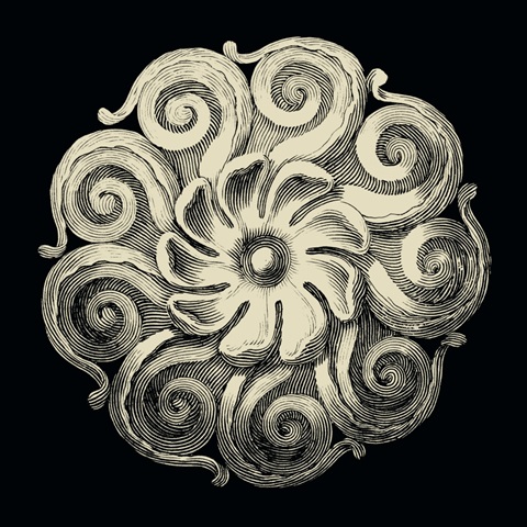 Black and Tan Rosette I