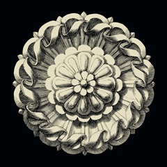 Black and Tan Rosette IV