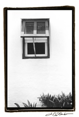 Bermuda Architecture IV