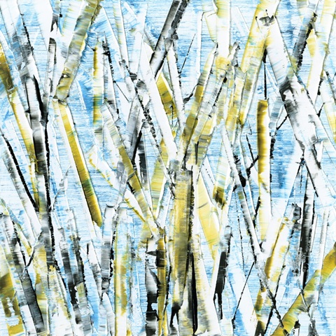 Birches IV