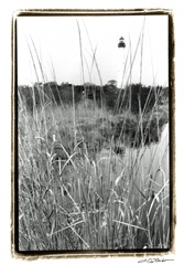 Cape May Lighthouse I