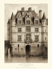 Petite Sepia Chateaux V