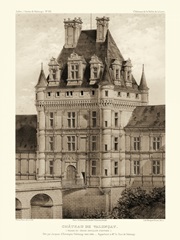 Petite Sepia Chateaux VIII