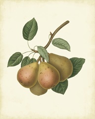 Plantation Pears I