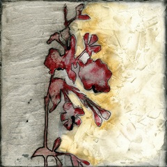 Platinum Silhouette IV