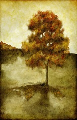 Sunset Solitude I