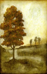 Sunset Solitude II