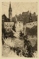 View from the Garden