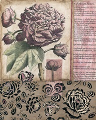 Cottage Rose I