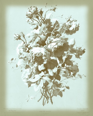 Dussurgey Roses on Blue