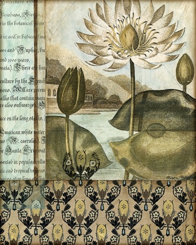 Elegant Water Lily I