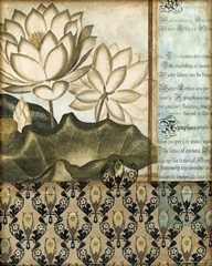 Elegant Water Lily II