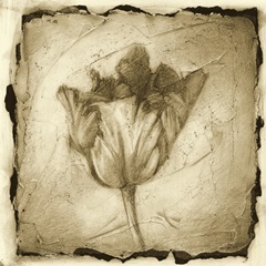 Floral Impression II