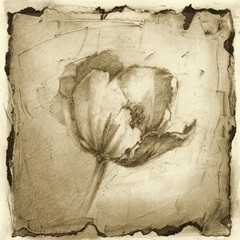 Floral Impression IV