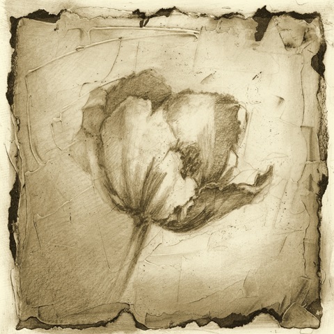 Floral Impression IV