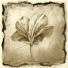 Floral Impression IX