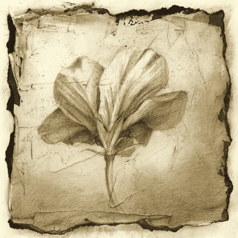 Floral Impression IX