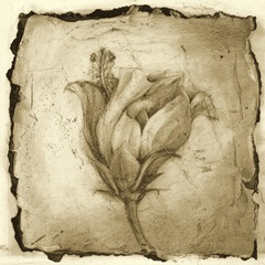 Floral Impression VIII