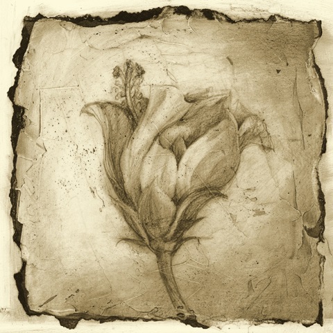 Floral Impression VIII