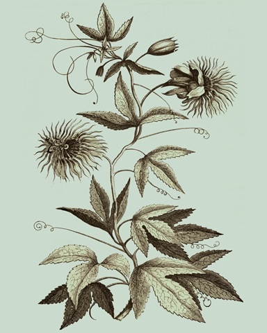 Imperial Munting III