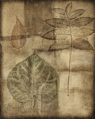 Impressed on Patina I