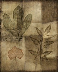 Impressed on Patina II