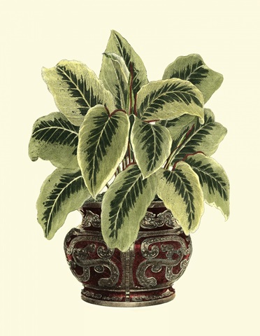 Lush Foliage in Urn I