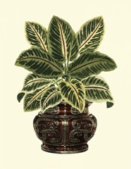 Lush Foliage in Urn II