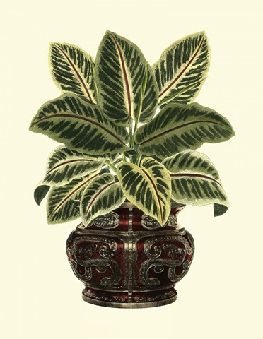 Lush Foliage in Urn II