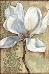 Magnolia Majesty I