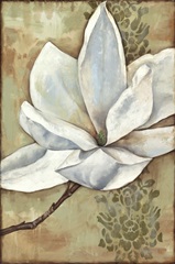 Magnolia Majesty II