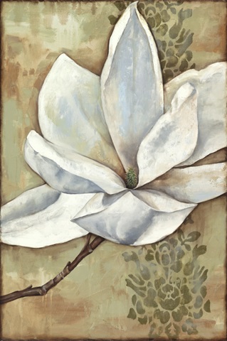 Magnolia Majesty II