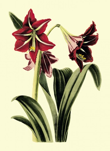 Royal Botanical Study I